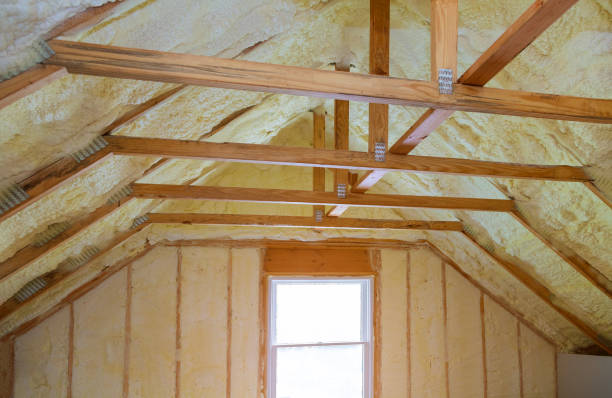 Best Spray Foam Insulation in Sardinia, OH