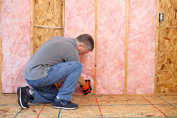 Best Residential Insulation in Sardinia, OH