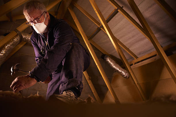 Best DIY Insulation Kits and Guidance in Sardinia, OH